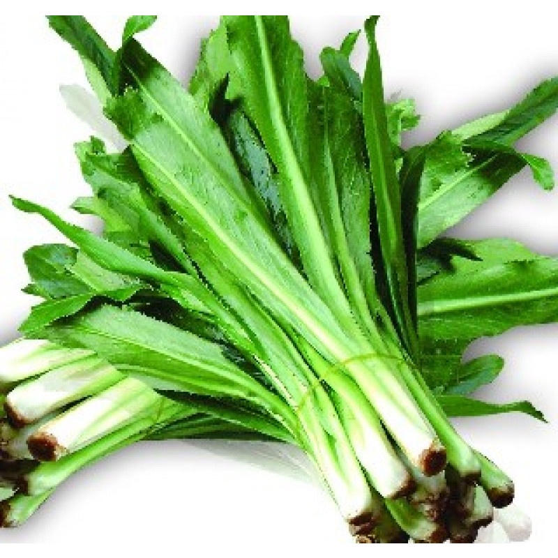 Hạt giống rau mùi tàu (ngò gai) - Gói 5g