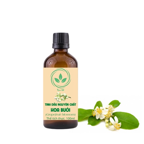 [Chai 100ml] Tinh Dầu Thiên Nhiên Nguyên Chất | Đã Được Kiểm ĐỊnh Chất Lượng | Xua Đuổi Côn Trùng, Tinh Dầu Sả Chanh