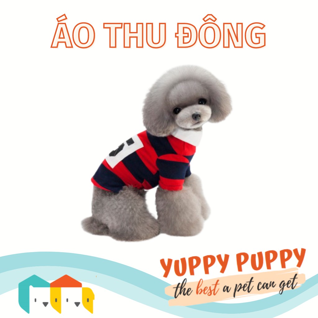 Cheepet Áo sọc số năm cho chó mèo / Thú cưng