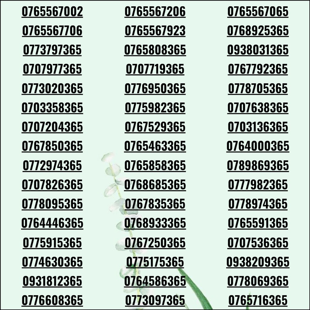 Sim số đẹp, sim 3G/4G/5G giá rẻ phong tiến khuyến mãi vĩnh viễn có thể sảnh tiến, tứ quý, lộc phát max data