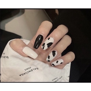 Nailbox thiết kế