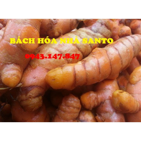 Tinh Bột Nghệ Đắc Lắc