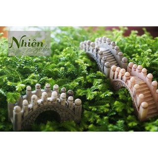 CẦU THANG ĐÁ VÒM - Phụ kiện trang trí tiểu cảnh, Terrarium