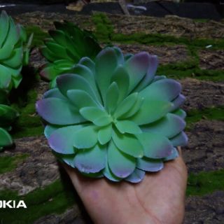 Hoa giả - Sen đá giả trang trí nhà cửa, cắm hoa để bàn siêu xinh, tạo không gian xanh mát