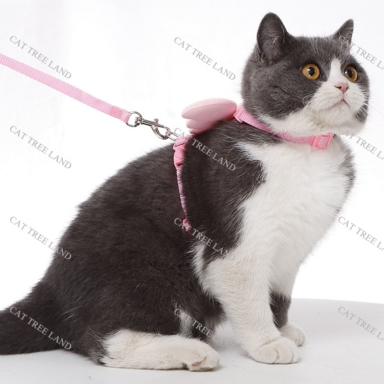 DÂY DẮT CHÓ MÈO KÈM ĐAI NGỰC, CÓ ĐÔI CÁNH THIÊN THẦN - VÒNG CỔ CHÓ MÈO - DÂY XÍCH THÚ CƯNG