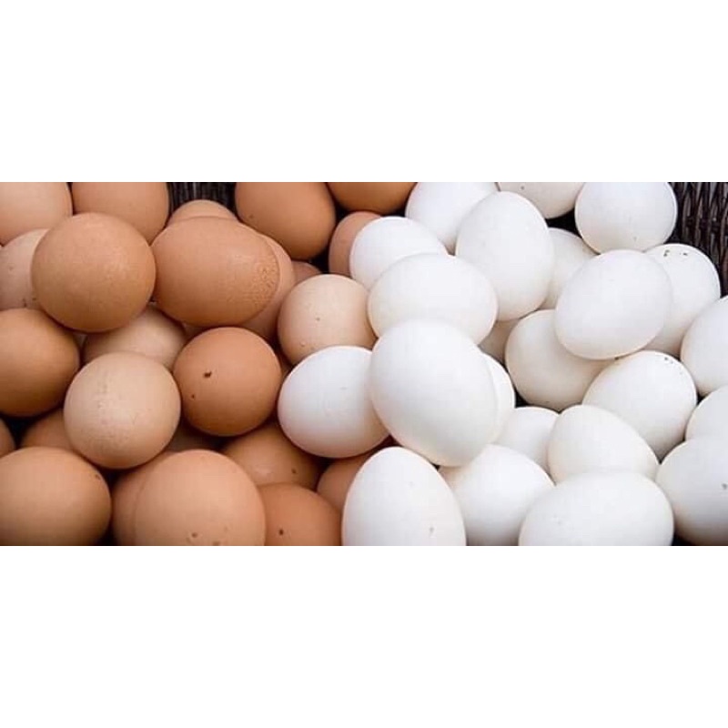 Hột vịt lộn - Trứng gà loại to- Trứng gà loại nhỏ- Trứng vịt to- Trưng gà ta