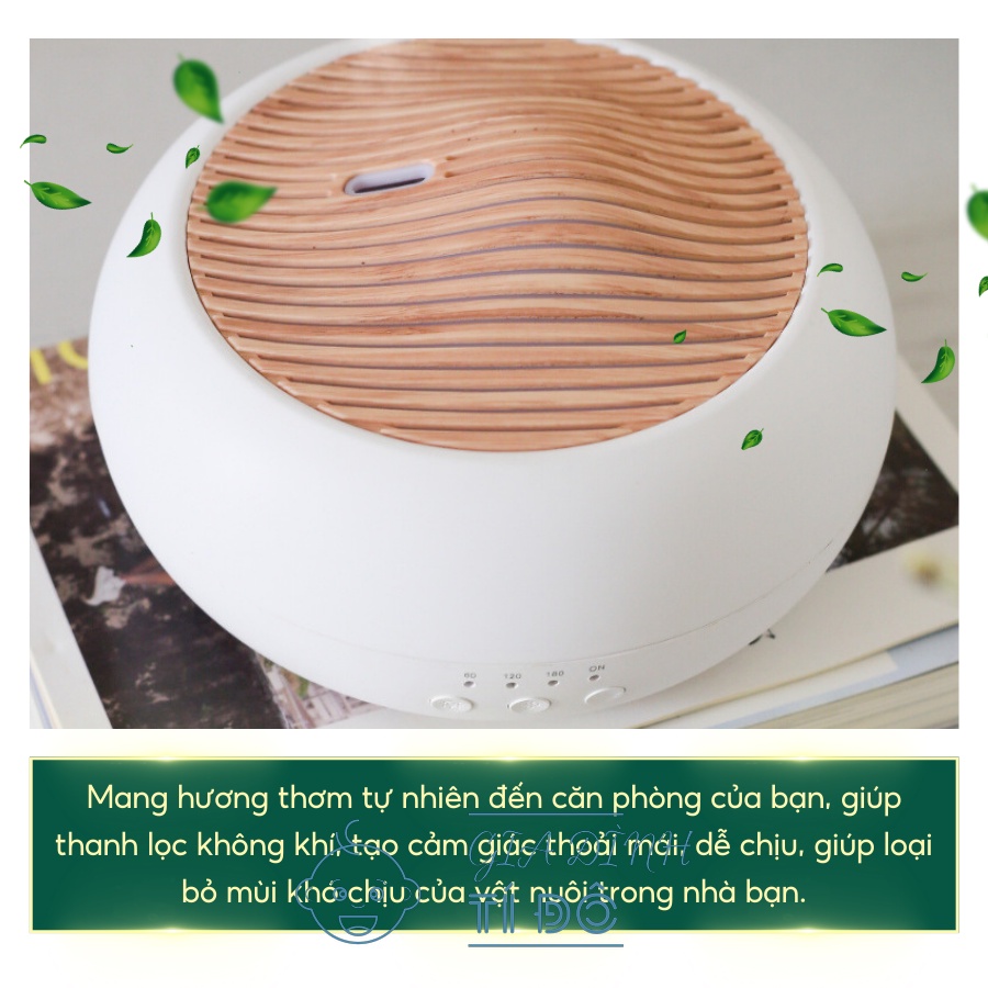 Máy xông tinh dầu, tạo ẩm khuếch tán hương thơm tự động bằng sóng siêu âm dung tích 250ml Kiểu Dáng Vỏ Sò