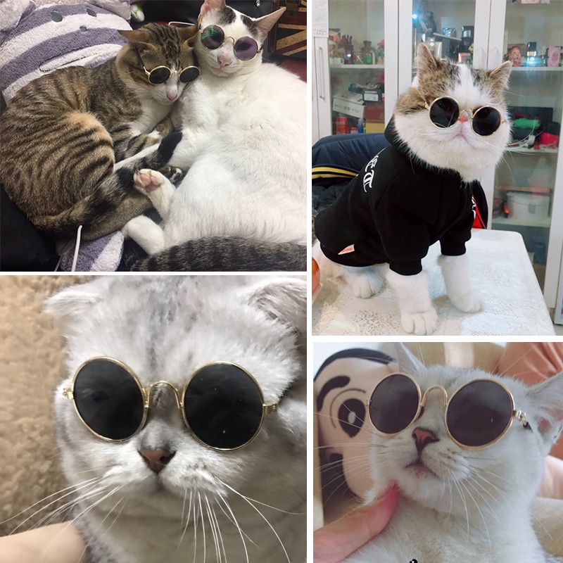 Kính thời trang cho chó mèo - Kính râm quàng thượng cực ngầu và đáng yêu cho pet - Nà Ní Pet Shop