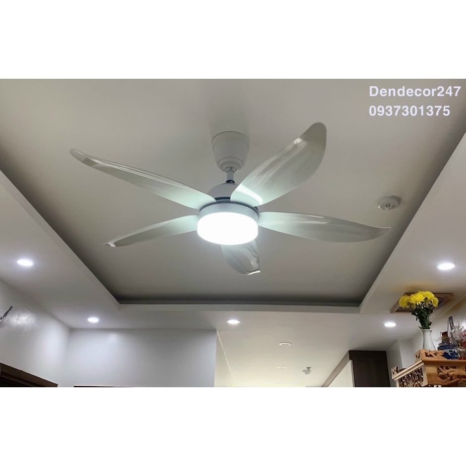 Quạt Trần Đèn 117T Động Cơ DC Chạy Êm Và Tiết Kiệm Điện,Có Kèm Móc Cao Su Treo Tiện Dụng,Bảo Hành 2 Năm