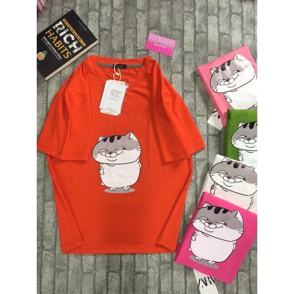 Áo thun OZ in hình mèo dễ thương 4 màu | Shopee Live 07042021