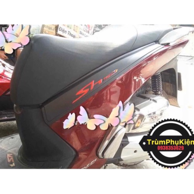 NẸP SƯỜN(ỐP HÔNG) SH 2012-2016 XÃ HÀNG