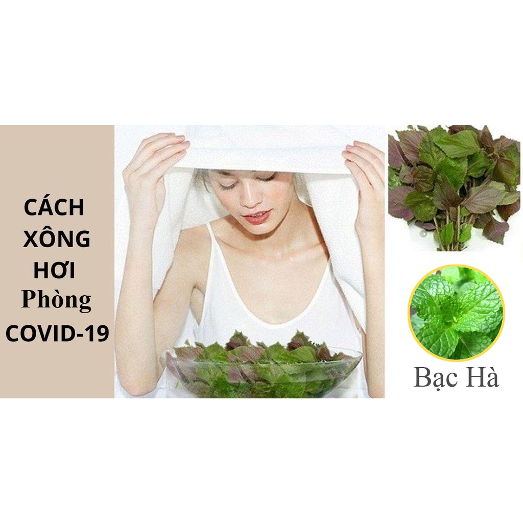 Lá Xông - Tắm Thảo Dược Giải Cảm, Phục Hồi Cơ Thể, Tăng Sức Đề Kháng, Lá Xông Giải Cảm 22 Vị Thảo Dược Quý