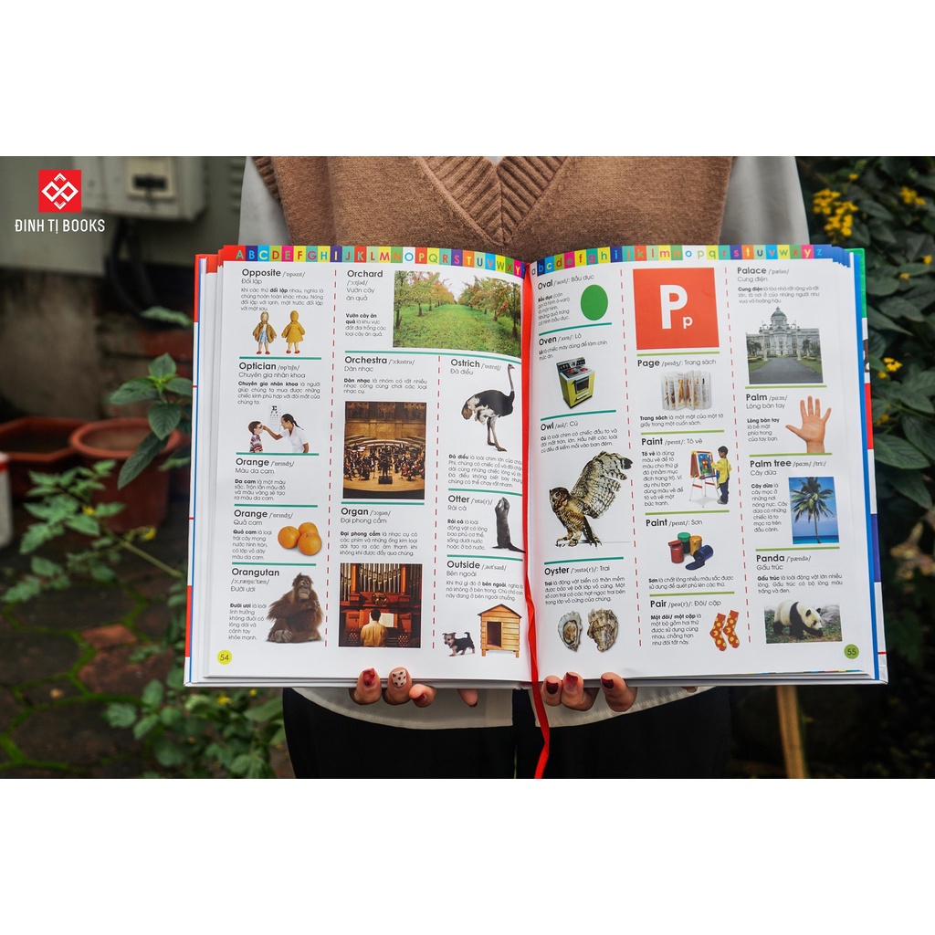 SÁCH - My First Dictionary - Cuốn từ điển đầu đời của tôi