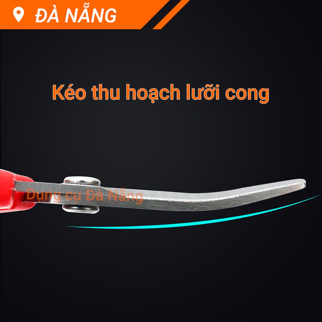 Kéo cong thu hoạch hoa quả 160mm Sagawa P-916