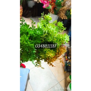 Hoa Giả - Cành Hoa Đá nhựa - Hoa Đá Dương Sỉ nhựa 7 nhánh