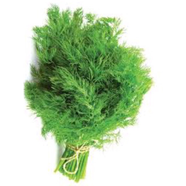 Hạt giống rau thì là, rau gia vị