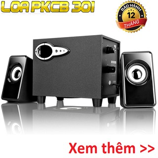 Loa Nghe nhạc Giá rẻ Điện Thoại, Máy Tính, Tivi Vi Tính Bass Treb 2018 PKCB-301 PF7