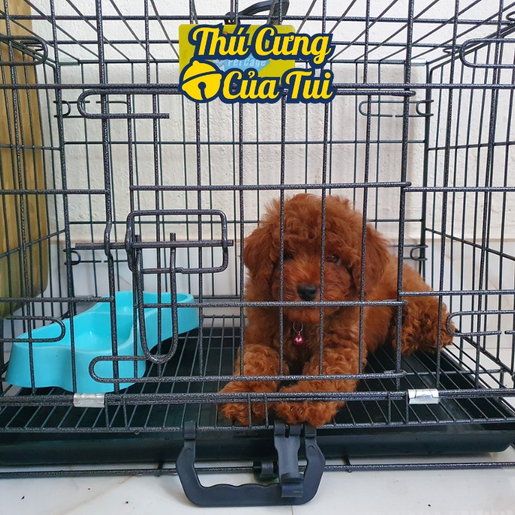 Lồng vân đá cho chó mèo, chuồng thú cưng tĩnh điện gấp gọn nan dày tặng kèm khay vệ sinh - Thú Cưng Của Tui