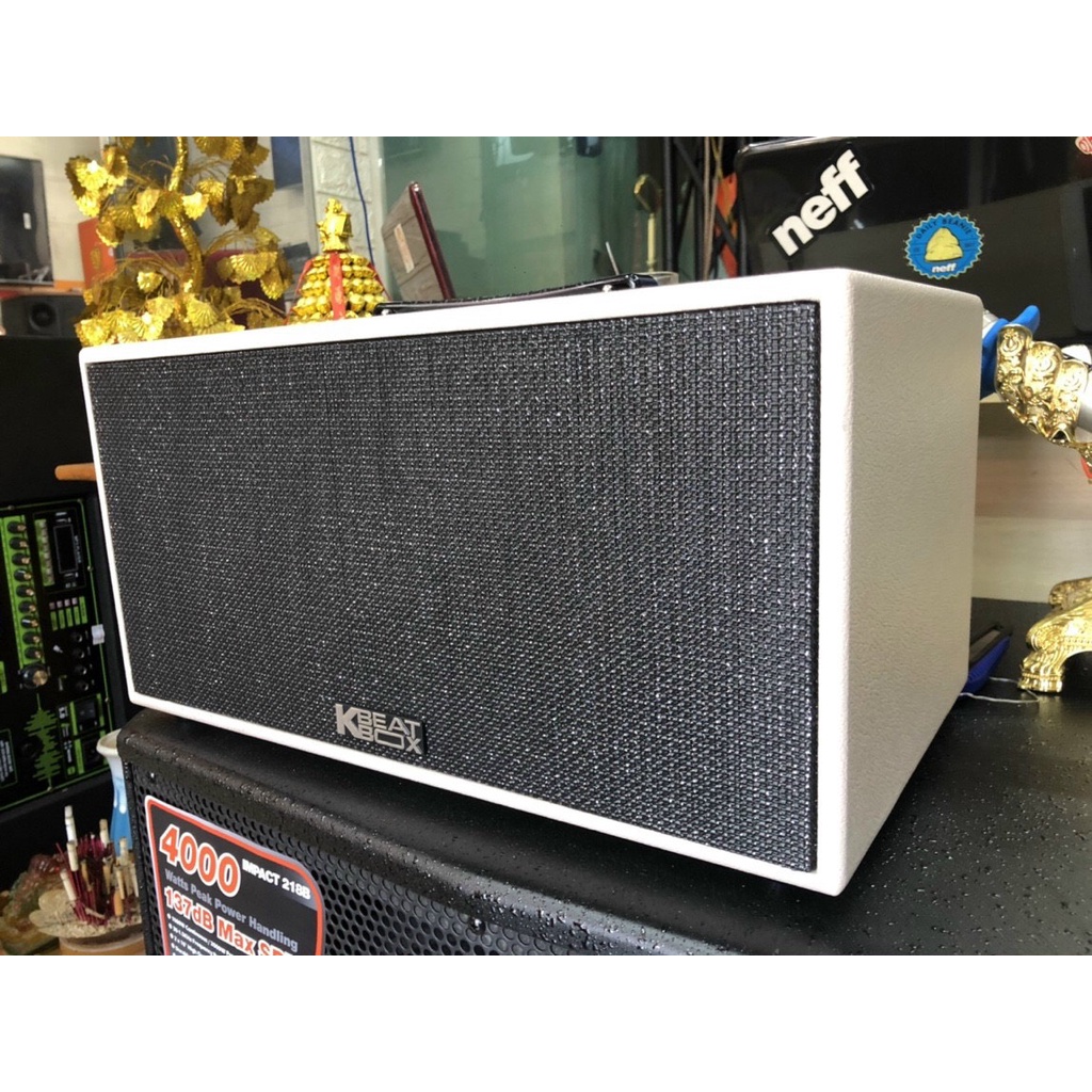 Loa Karaoke di động ACNOS CS447, Bass 16.5Cm, 100W, Pin 4 - 7H, Mới 2022