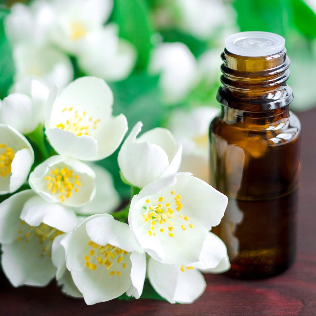 Tinh dầu thơm xông phòng hương Hoa Nhài nguyên chất lọ 20ml