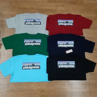 Áo Thun Logo Patagonia