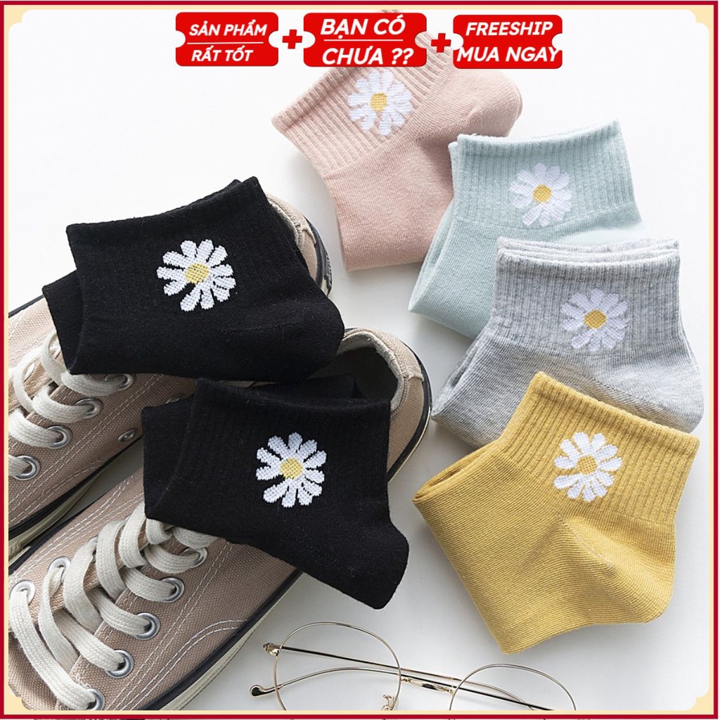 Set 10 đôi tất Hoa Cúc Hot Trend kèm túi rút xịn sò