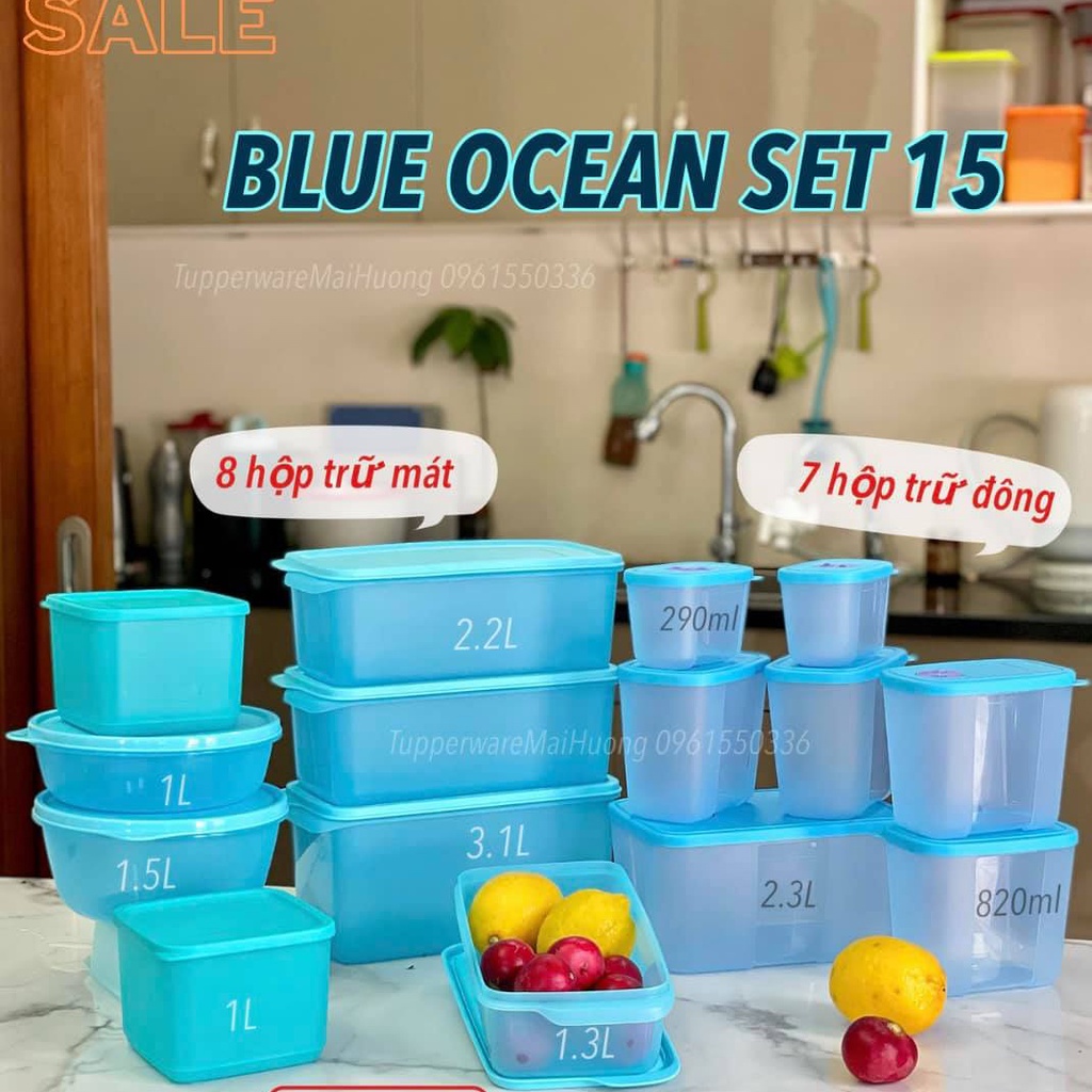 Bộ hộp trữ đông và mát Blue Ocean - Tupperware