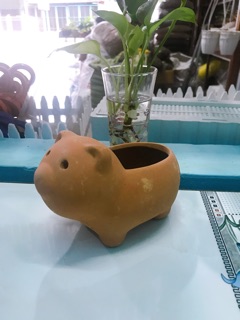 Chậu đất nung hình chú heo