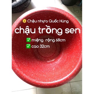 Chậu trồng sen,trồng hoa,trồng rau giả đá đỏ