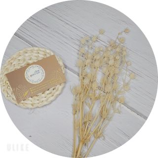 Hoa khô cài tóc cô dâu - Hoa cỏ mây khô