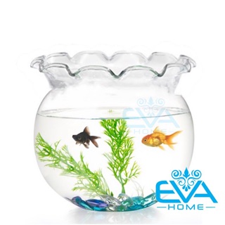 Hồ Cá Bể Cá Thuỷ Tinh Miệng Bèo B11 17 x 16 Cm Tặng Kèm Sỏi Và Rong Trang Trí