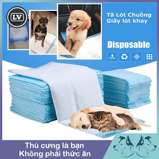 Miếng lẻ Tấm lót thấm hút nước tiểu, ổ đẻ cho chó mèo lớn. Tấm lót vệ sinh cho thú cưng PAD PET TRAINNING Phụ kiện Long