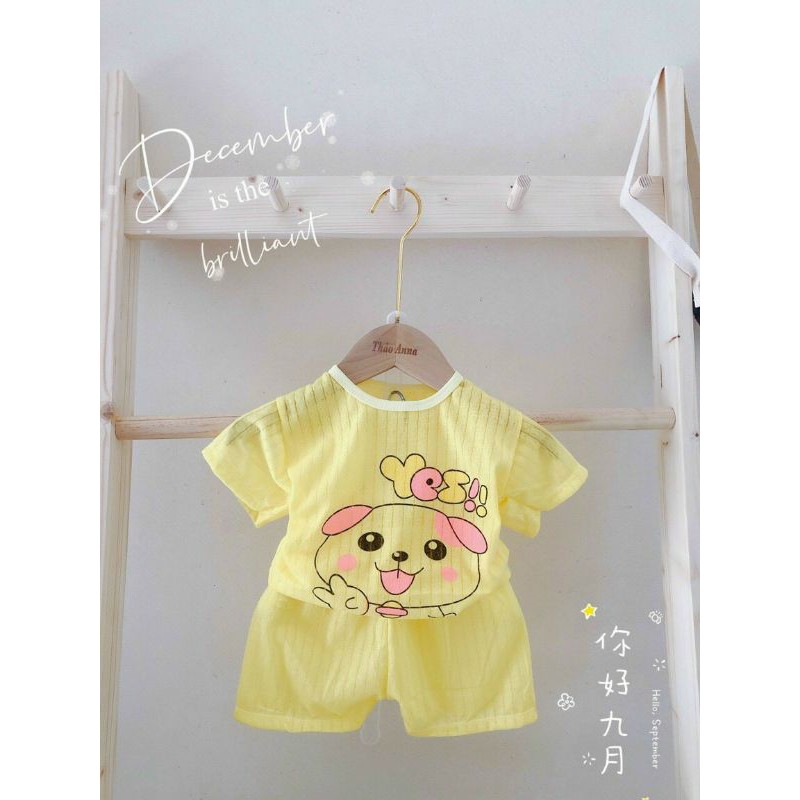 5 bộ cotton giấy cho bé 4-16kg | BigBuy360 - bigbuy360.vn