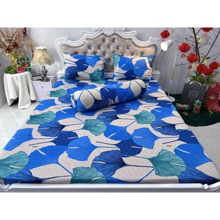 DRAP THUN HÀN QUỐC GIÁ HẤP DẪN