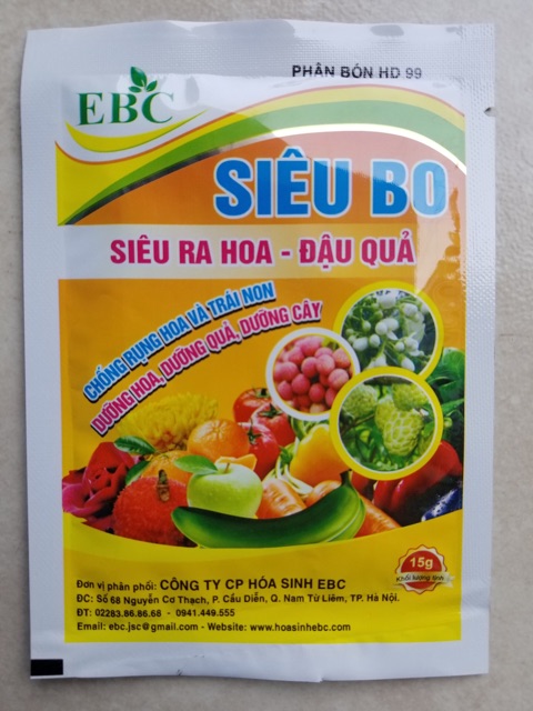 Siêu Bo - Ra hoa đậu quả