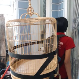 Balo đeo lồng chim