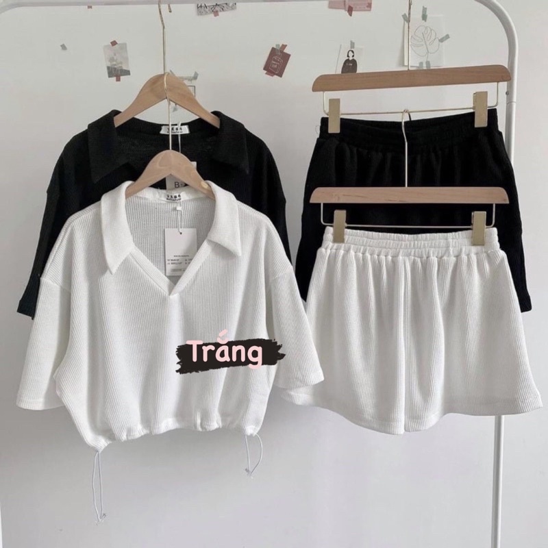 Set croptop nữ nỉ tăm, áo polo có dây điều chỉnh eo và quần short ngắn Aimee closet (Ảnh thật)