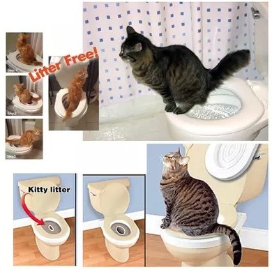 (Nhu cầu thú cưng);(Chuyển phát nhanh) Bộ huấn luyện mèo đi vệ sinh trong bồn toilet