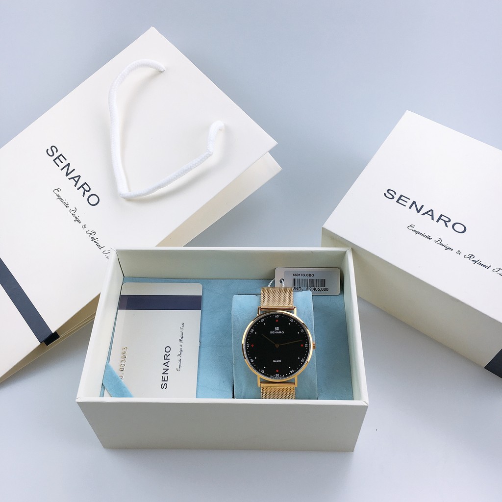 Đồng hồ nam SENARO Every Time Large 66017GBG thương hiệu Nhật Bản - LAMY WATCH