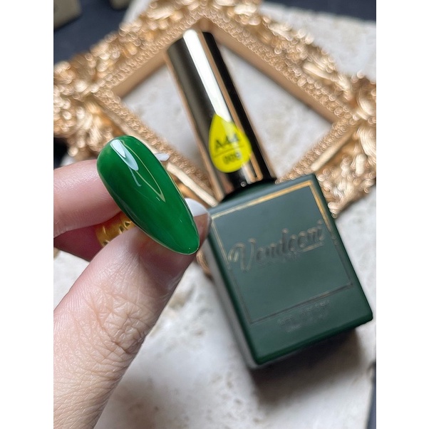 Sơn gel màu độc VDN