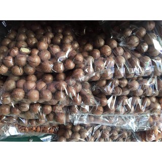 [FREE SHIP] HẠT MACCA LÂM ĐỒNG NỨT VỎ TỰ NHIÊN ( tặng kèm khui)