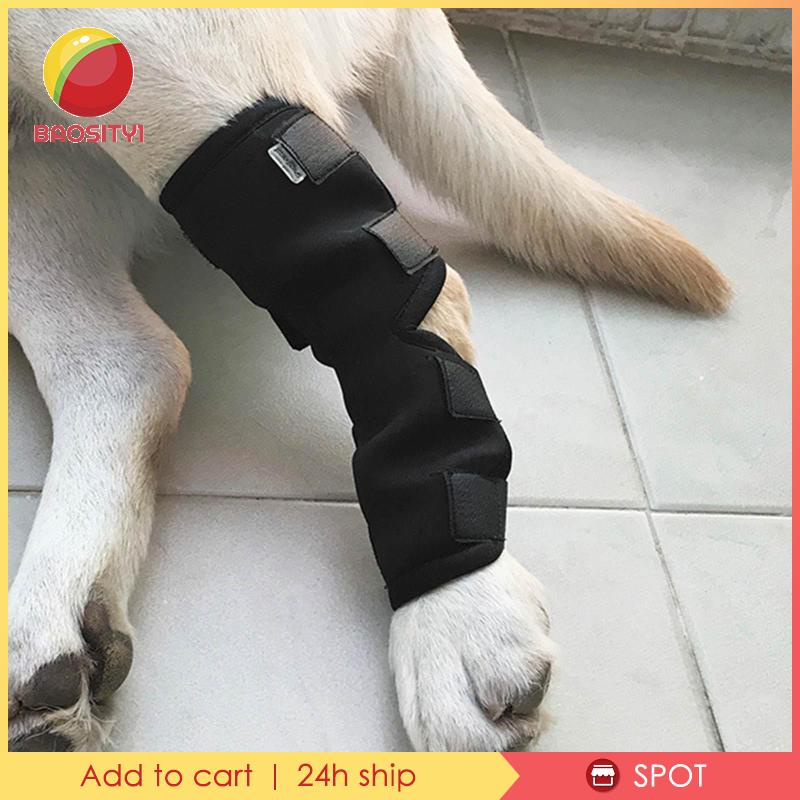 [Baosity 1] Băng Quấn Bảo Vệ Khuỷu Tay Đầu Gối Cho Thú Cưng