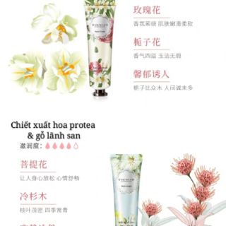 ( COMBO 10 TUÝP) KEM DƯỠNG TAY HANCREAM MAYCREATE