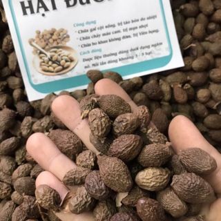 Sỉ toàn quốc giá rẻ hạt đười ươi 500g - 1kg
