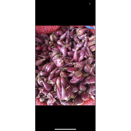 1kg Hành Tím Khô Bình Định