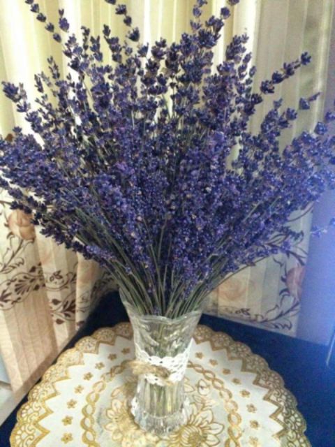 Hoa Lavender khô nhập khẩu Pháp