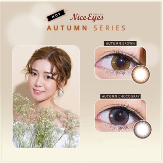 Nice Eye Contact Lens