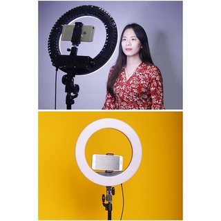 ĐÈN LIVESTREAM CHỤP HÌNH SIZE 50cm