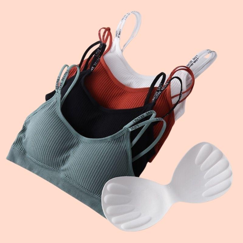 Áo Lót Nữ Cotton Dây Kép, Áo Ngực Thể Thao Co Giãn Thấm Hút Mồ Hôi Tốt - 8156