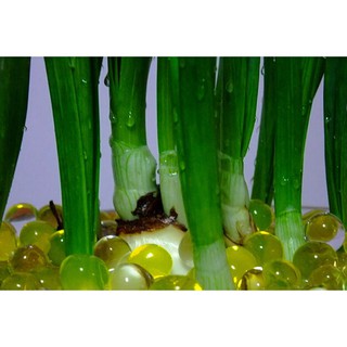 water beads Pearl shaped Crystal Soil Mud Grow Magic